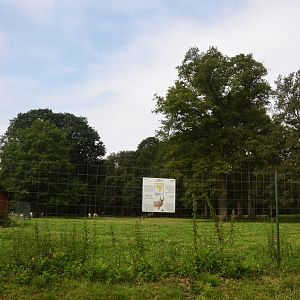 Addax Enclosure at Haute-Touche, 14/06/18
