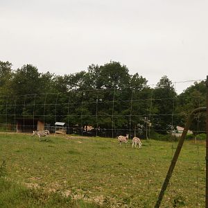 Grant's Zebra Enclosure at Haute-Touche, 14/06/18
