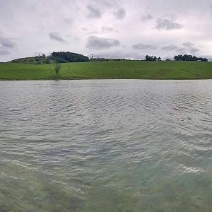 Sep. 2018 - Lake Trail View of the 350 Acre Pasture (11 Species)