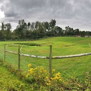 Sep. 2018 - Mid-Sized Carnivore Conservation Center - 1.6 Acre Painted Dog Exhibit