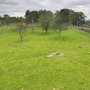 Sep. 2018 - Mid-sized Carnivore Conservation Center - 1.4 Acre Dhole Exhibit