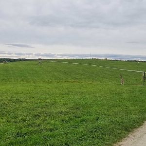 Sep. 2018 - 35 Acre Reticulated/Masai Giraffe + Fringe-eared Oryx Exhibit