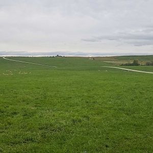 Sep. 2018 - 125 Acre Pasture (5 Species)