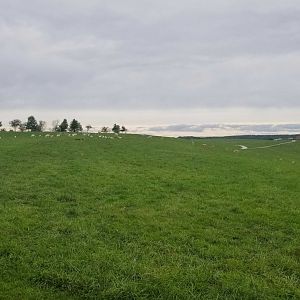 Sep. 2018 - 125 Acre Pasture (5 Species)