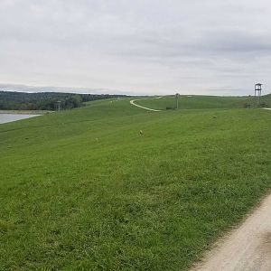 Sep. 2018 - 350 Acre First Pasture (11 Species)