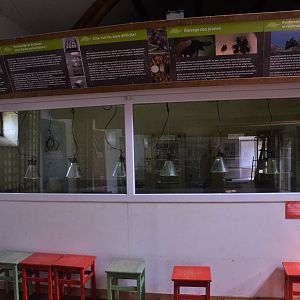 European Pond Terrapin Rearing Area at Haute-Touche, 14/06/18