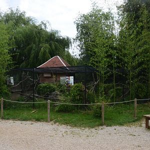 Azara's Agouti/Emperor Tamarin Enclosure at Haute-Touche, 14/06/18