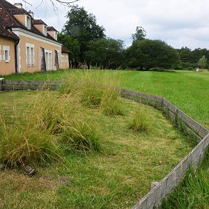 Tortoise and Indian Muntjac Enclosures at Haute-Touche, 14/06/18
