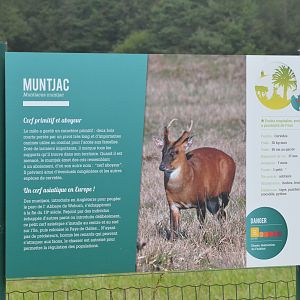 Signage Example (Indian Muntjac) at Haute-Touche, 14/06/18