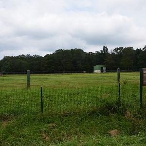 European Bison Enclosure at Haute-Touche, 14/06/18
