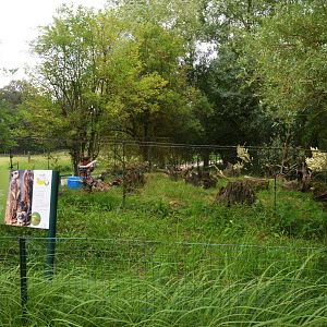 Meerkat Enclosure at Haute-Touche, 14/06/18