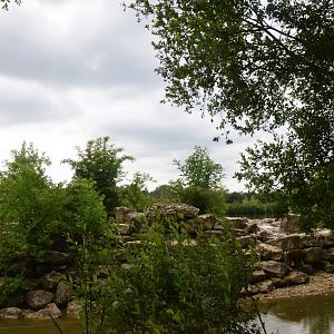 Guinea Baboon Enclosure at Haute-Touche, 14/06/18