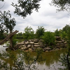 Guinea Baboon Enclosure at Haute-Touche, 14/06/18
