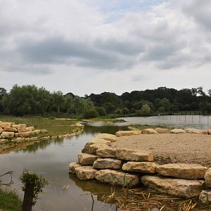 Additional Baboon Enclosure Site at Haute-Touche, 14/06/18