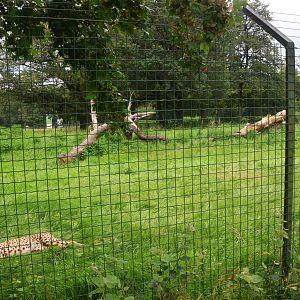 Cheetah Enclosure at Haute-Touche, 14/06/18