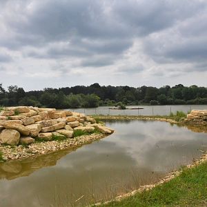 Additional Baboon Enclosure Site at Haute-Touche, 14/06/18
