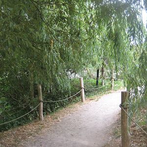 Ree Park - Squirrel monkey island