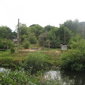 Ree Park - Spider monkey island