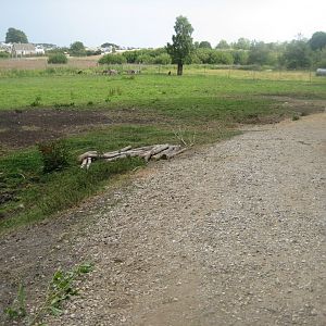 Ree Park - Donkey exhibit