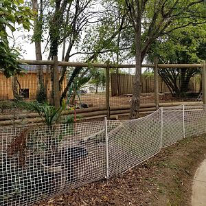Giant Anteater Exhibit Construction