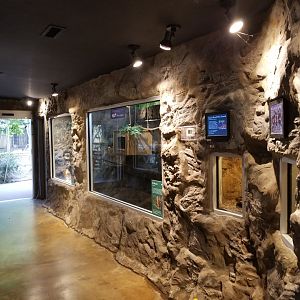 Corcovado Jungle - Main Building