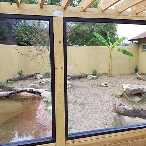 Outdoor Komodo Dragon Exhibit