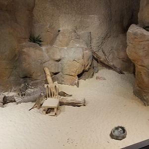 Meerkat Exhibit