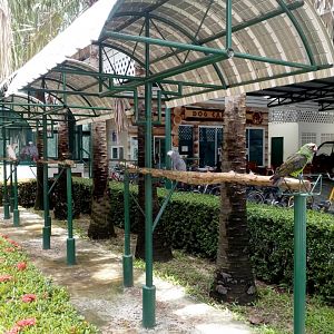 Parrots on Sticks at Entrance