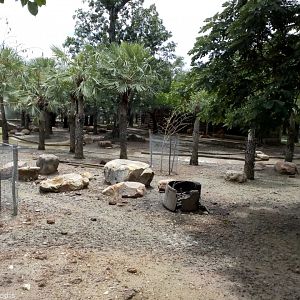 Deer Enclosure