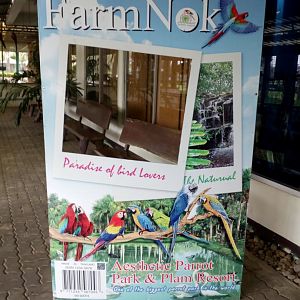 Interesting English Wording