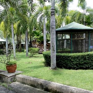 White Cockatoo Aviaries