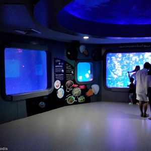 Jellyfish Section - Bangsaen Aquarium