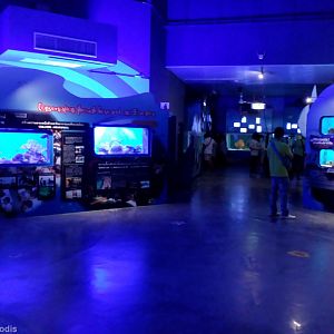 View in the Aquarium