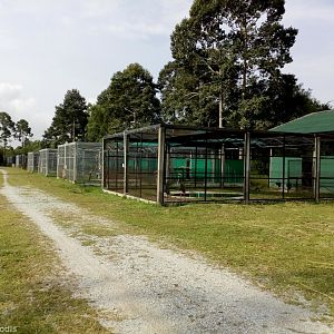 Cages for Large Waterbirds