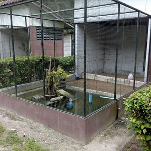 Example Cage for Small Waterbirds