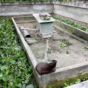 One of the Otter Enclosures