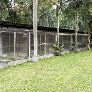 Enclosures with Various Species