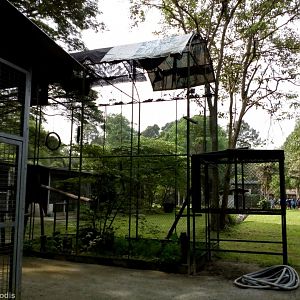 Part of the Primate Area