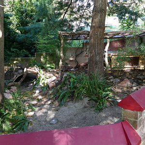Echidna exhibit, September 2018