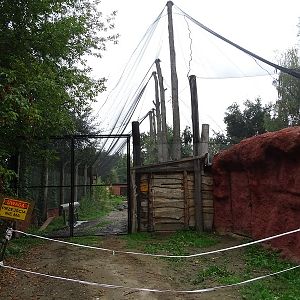 Aviary under (re?)construction