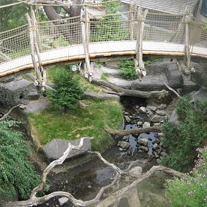 Ree Park - Red panda exhibit