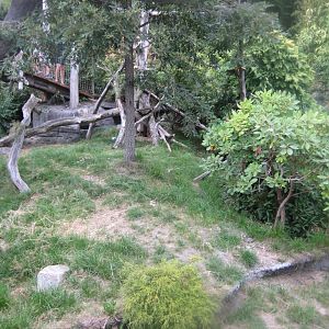 Ree Park - Red panda exhibit