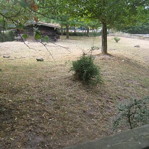 Ree Park - Tortoise exhibit