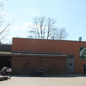 Gorilla-indoor-enclosures