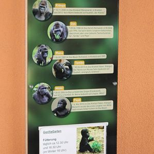 Gorilla ID's new enclosure