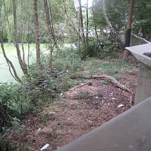 Ree Park - Japanese crane exhibit