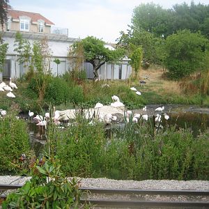 Ree Park - Bird meadow