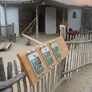 Ree Park - The farm - Alpaca exhibit