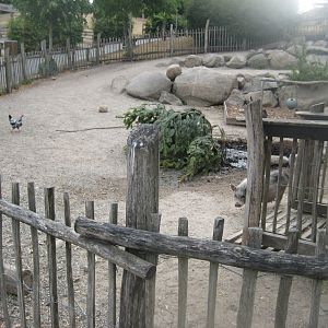 Ree Park - The farm - Pig exhibit