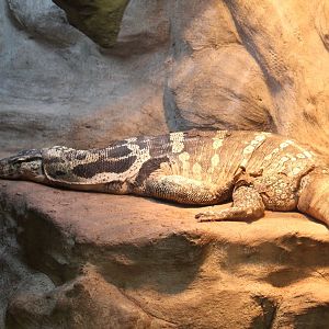 Common Water Monitor